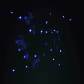 Photon in Attack on Titan Revolution