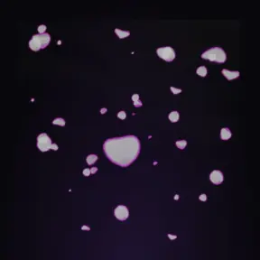 Rose Petal in Attack on Titan Revolution